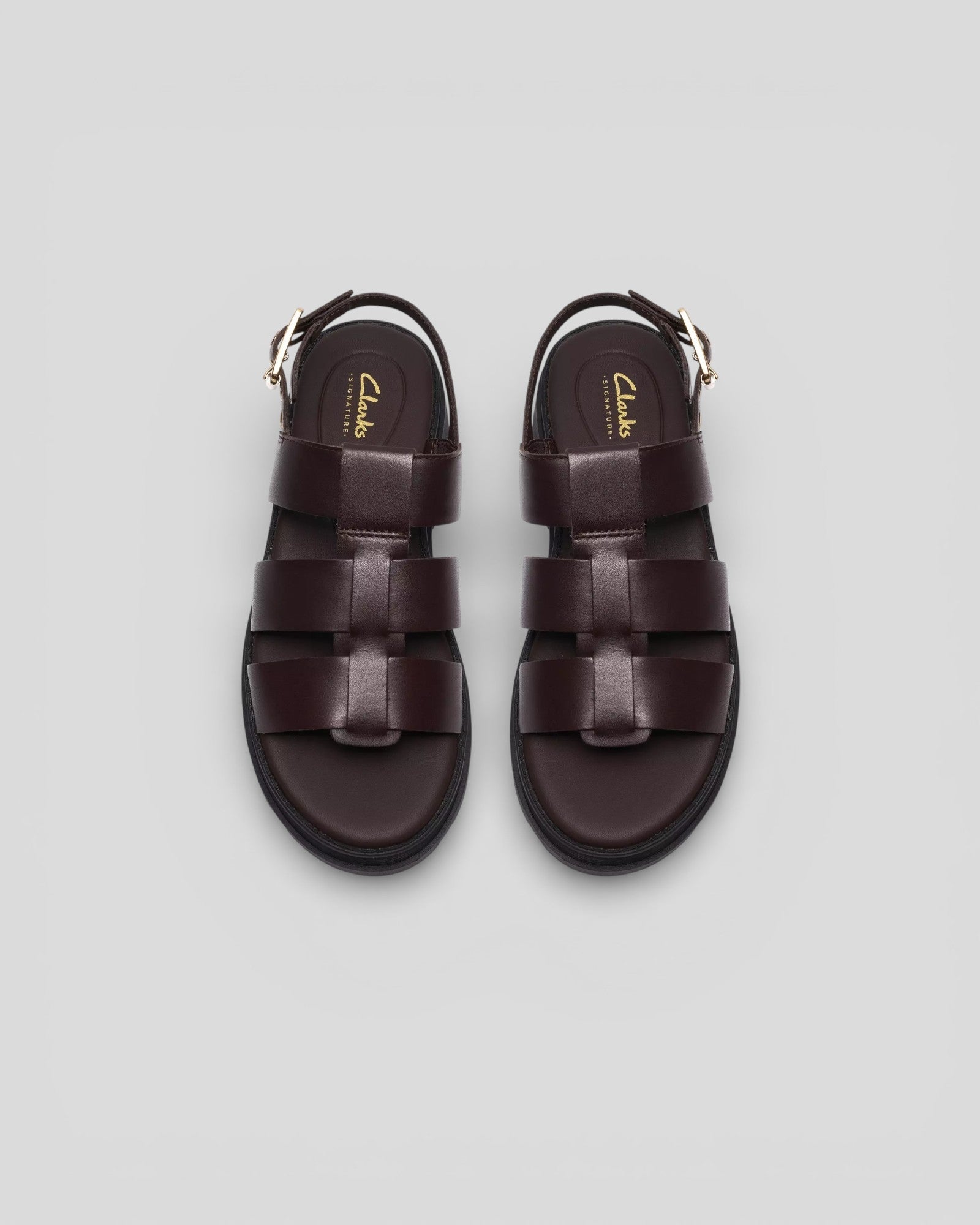 Clarks || Orinoco3 Strap - Dark Brown Leather Clarks