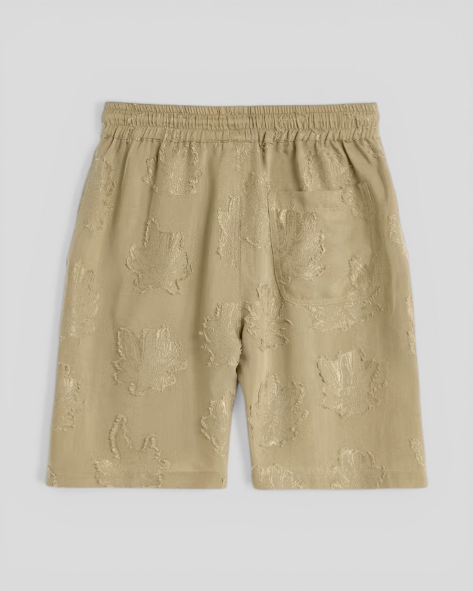OAS || Palmoza Nicola Shorts - Brown OAS Compagny